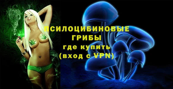 кокс Белокуриха